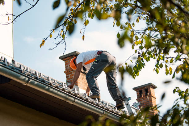 Professional Roofing Service  in Lake Camelot, IL