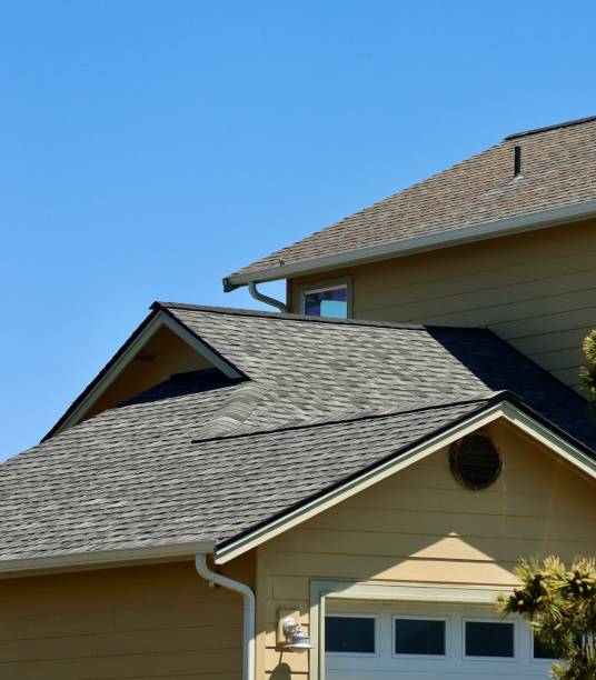 Best Roof Maintenance and Cleaning  in Lake Camelot, IL